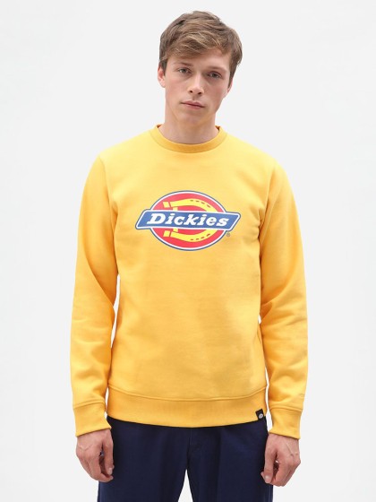 DICKIES Pittsburgh Sweatshirt [Amber-Yellow]